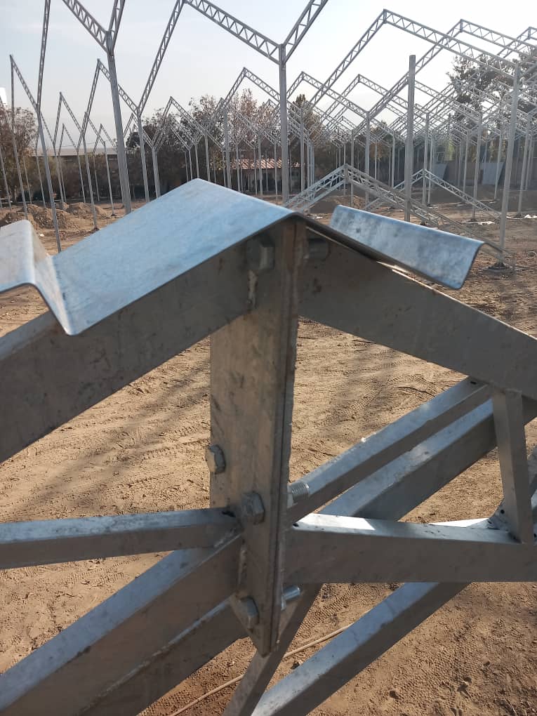 کشت گوجه فرنگی هیدروپونیک 3